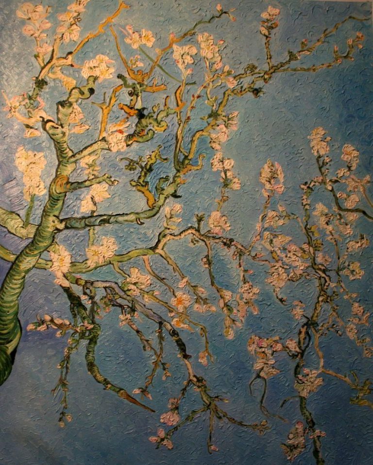 Mandorlo in fiore Vincent van Gogh • Pastellmalerei Wolfgang Pfau