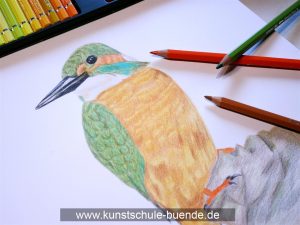 Zeichnen für Anfänger Kurs Kunstschule Bünde